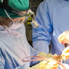 Oral and Maxillofacial Surgery Team in the Operating Room